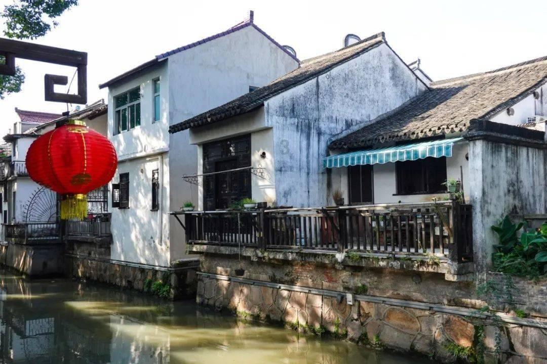 荆棘王座